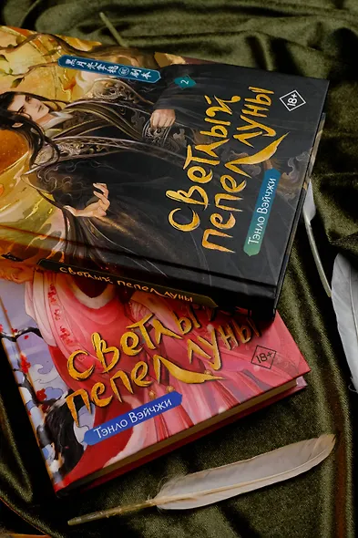 Светлый пепел луны. Книга 2. Новелла - фото 14