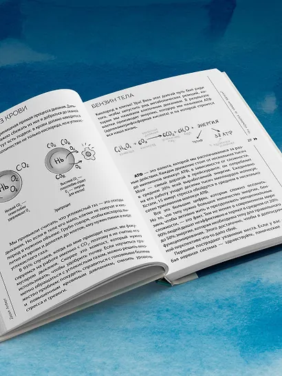 Сила дыхания. Дыхательные практики, которые меняют тело, эмоции и жизнь - фото 8