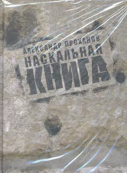 Наскальная книга - фото 1