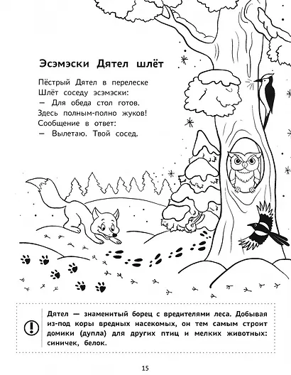 Пойдем в лес!: виммельбух-прогулка с мышонком Ерошкой - фото 2