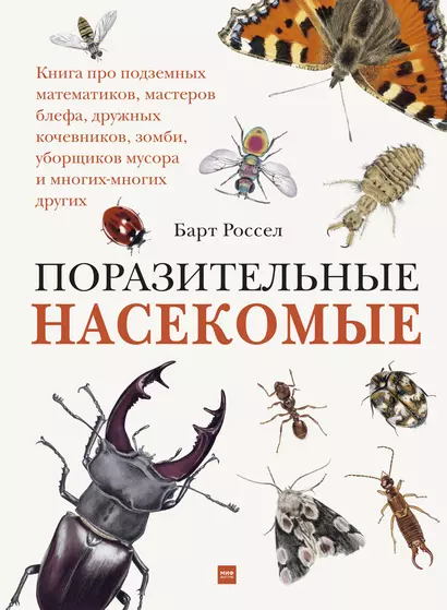 Поразительные насекомые. Книга про подземных математиков, мастеров блефа, дружных кочевников, зомби, уборщиков мусора и многих-многих других - фото 1