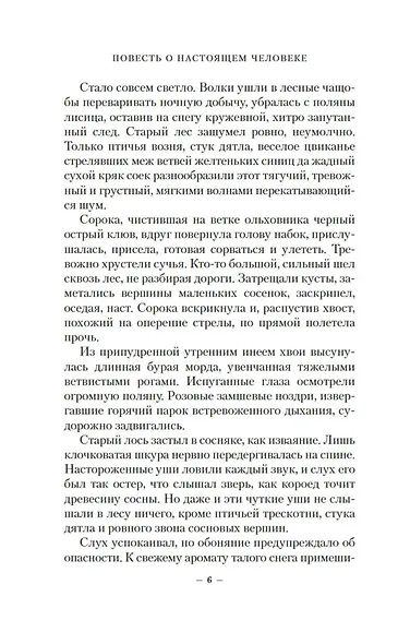 Повесть о настоящем человеке - фото 7