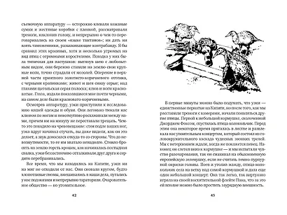 Путь кенгуренка. Поймайте мне колобуса - фото 4