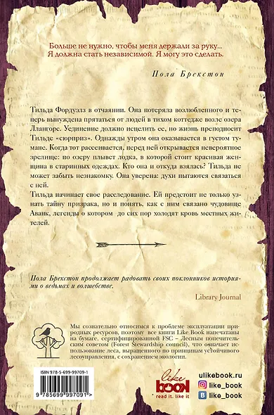 Серебряная ведьма - фото 2