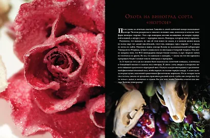 Накормить Ганнибала: поваренная книга ценителя - фото 7