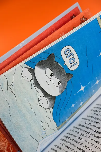 Кот на ватрушке - фото 13