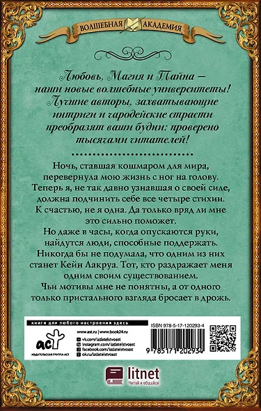 Академия запретной магии. Пробуждение хранителя - фото 2