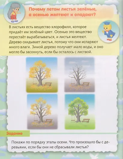 О природе - фото 2