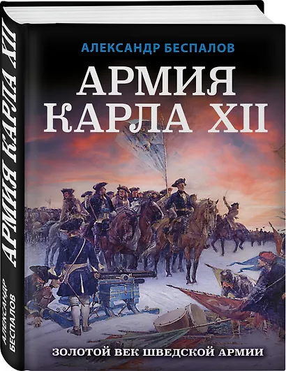 Армия Карла XII. Золотой век шведской армии - фото 3