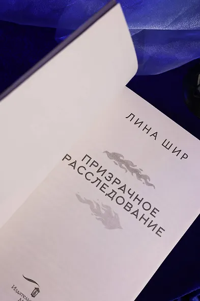 Призрачное расследование - фото 10