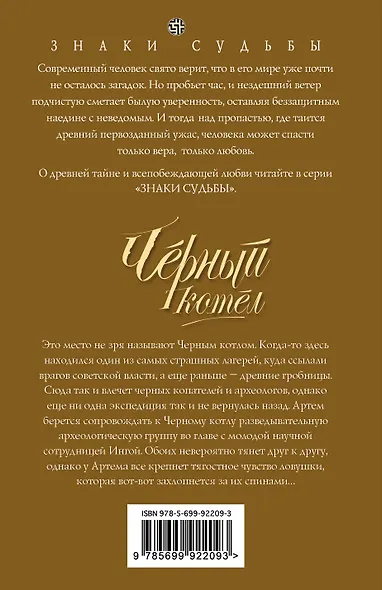 Черный котел - фото 2