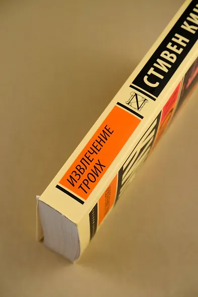 Извлечение троих: из цикла "Темная Башня" - фото 9