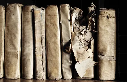 Книги. Всемирная история библиотек - фото 4