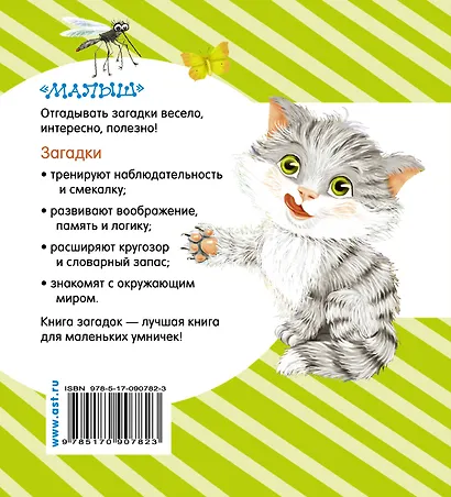 Книга загадок - фото 2