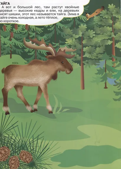 Мир животных - фото 4