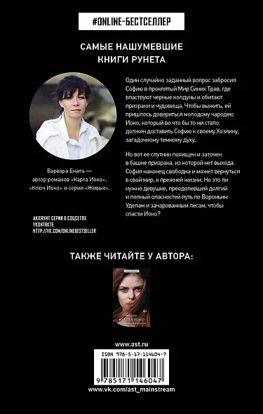 Ключ Иоко - фото 2