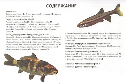 Золотые и другие холодноводные аквариумные рыбки. (цвет) - фото 2