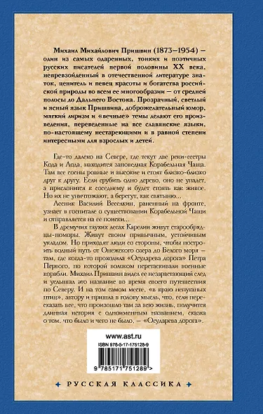 Корабельная чаща. Осударева дорога - фото 2