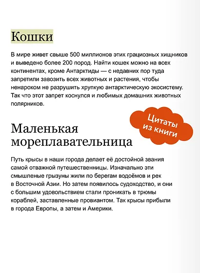 Животные в городе. Где найти и как узнать - фото 7