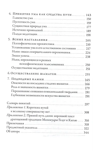 Безмолвие ума - фото 3