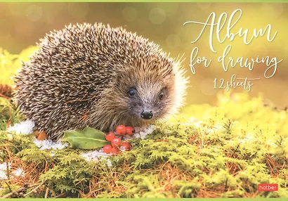 Альбом для рисования Hatber, "Ассорти", А4, 12 листов - фото 4