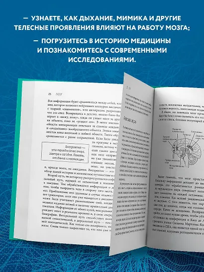 Телесный интеллект. Парадоксальное открытие о том, как тело определяет наши эмоции, поведение и темперамент - фото 6