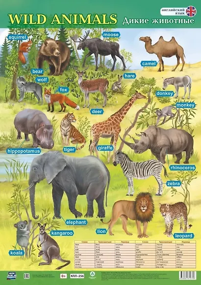 Учебный плакат. Английский язык. Дикие животные. (Формат А2) - фото 1