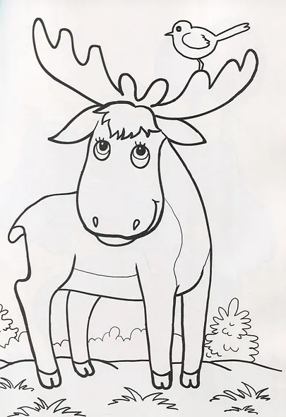 Идем скорее в зоопарк. Посмотри и раскрась - фото 4