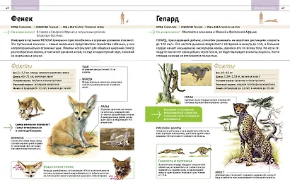 Животные. Все обитатели нашей планеты - фото 5