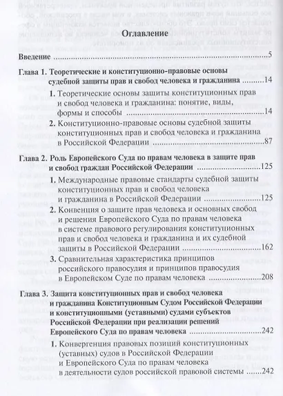 Конституционные стандарты судебной защиты прав человека в России - фото 2