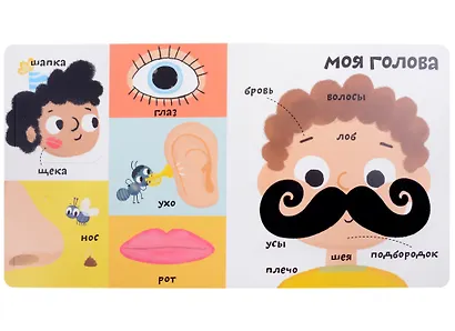 Мои первые 100 слов с большими окошками. Мое тело - фото 3