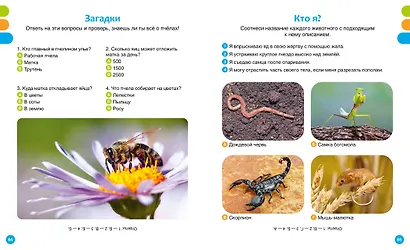 Животные-малютки - фото 12