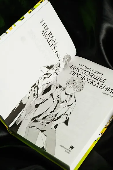 Настоящее пробуждение. Real Awakening. Книга 4 - фото 11