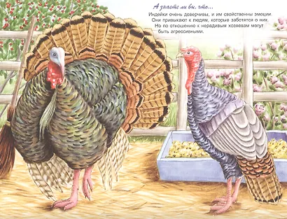 Домашние животные - фото 4