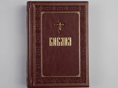 Библия. Книги Священного Писания Ветхого и Нового Завета - фото 13