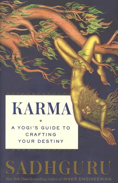 Karma: A Yogis Guide to Creating Your Own Destiny - фото 1