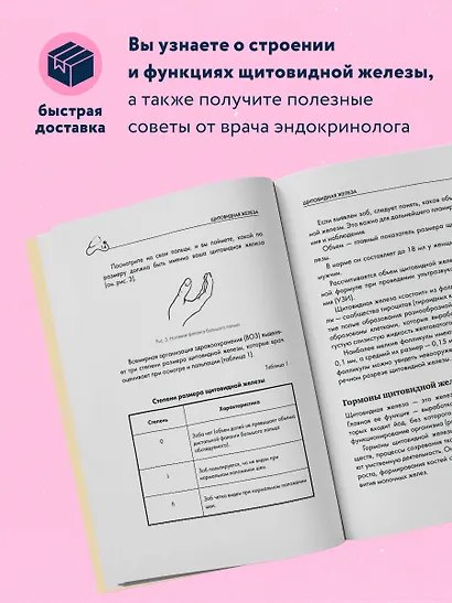 Щитовидная железа. Все от анализов до методов лечения - фото 5