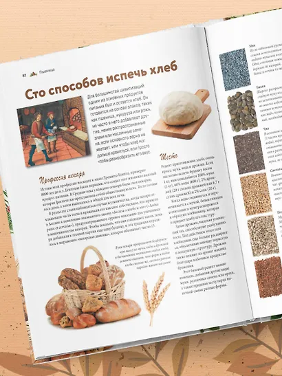 Семена и зерна. Иллюстрированный атлас. Удивительные факты о сельскохозяйственных культурах и их влияние на развитие человечества - фото 8