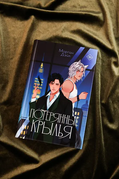 Потерянные крылья - фото 8