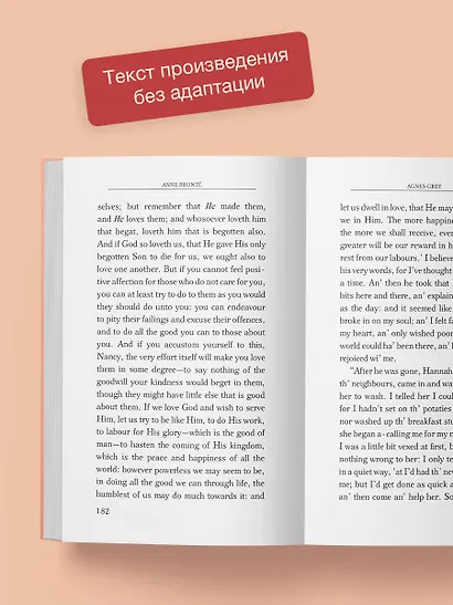 Agnes Grey - фото 6