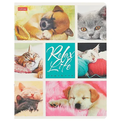 Тетрадь в клетку Hatber, Relax Life, 24 листа, в ассортименте - фото 3