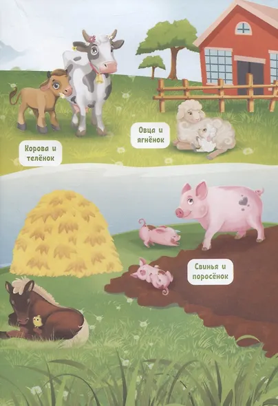 О чем говорят животные? - фото 5