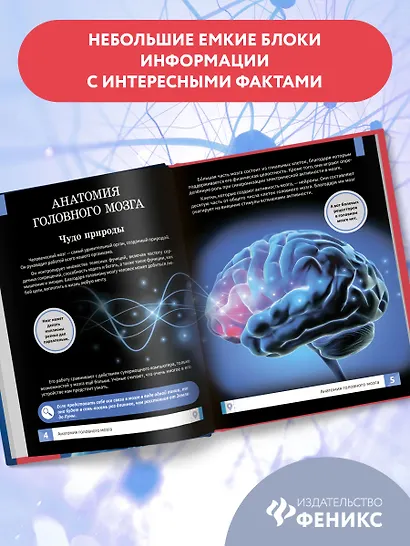 Мозг человека: самая умная энциклопедия - фото 9
