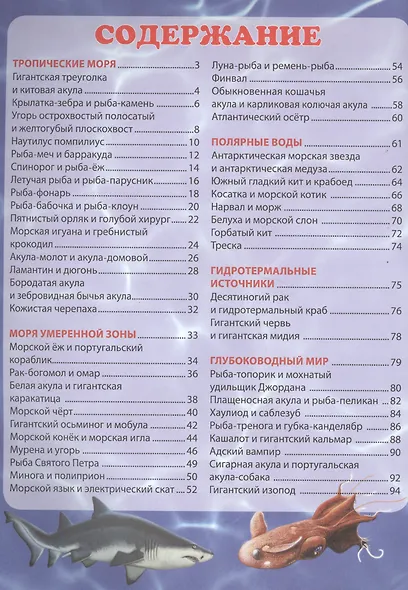 Морские обитатели. Путешествие в глубины океана - фото 2