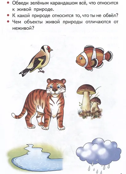 Изучаем окружающий мир (5-6 лет) - фото 3