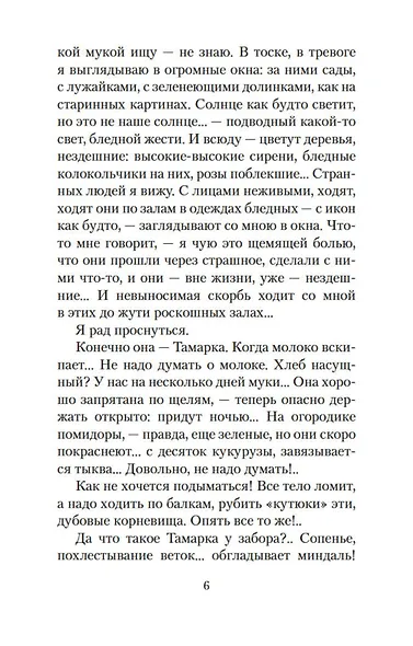 Солнце мертвых - фото 9