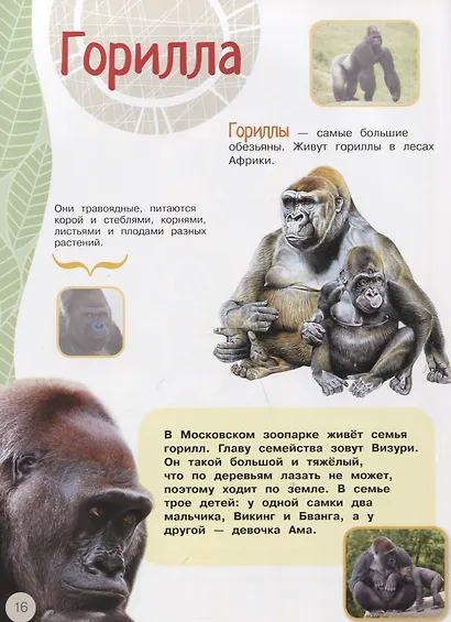 Проворные малыши.Обезьянки. Наклейки. Интересные факты. Карта зоопарка - фото 4