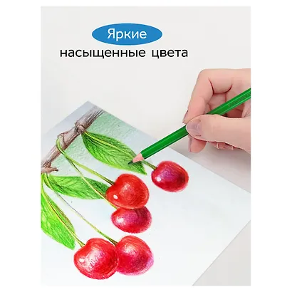 Карандаши цветные 24 цвета "Классические", Гамма - фото 7