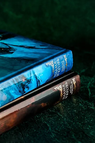 Пламя и кровь: Пляска смерти - фото 12