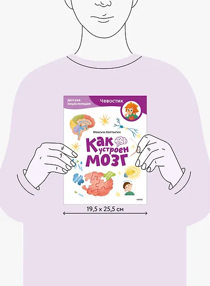 Как устроен мозг. Детская энциклопедия (Чевостик) (Paperback) - фото 14